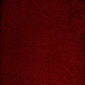Флок Flash (burgundy) Флок Flash (burgundy)